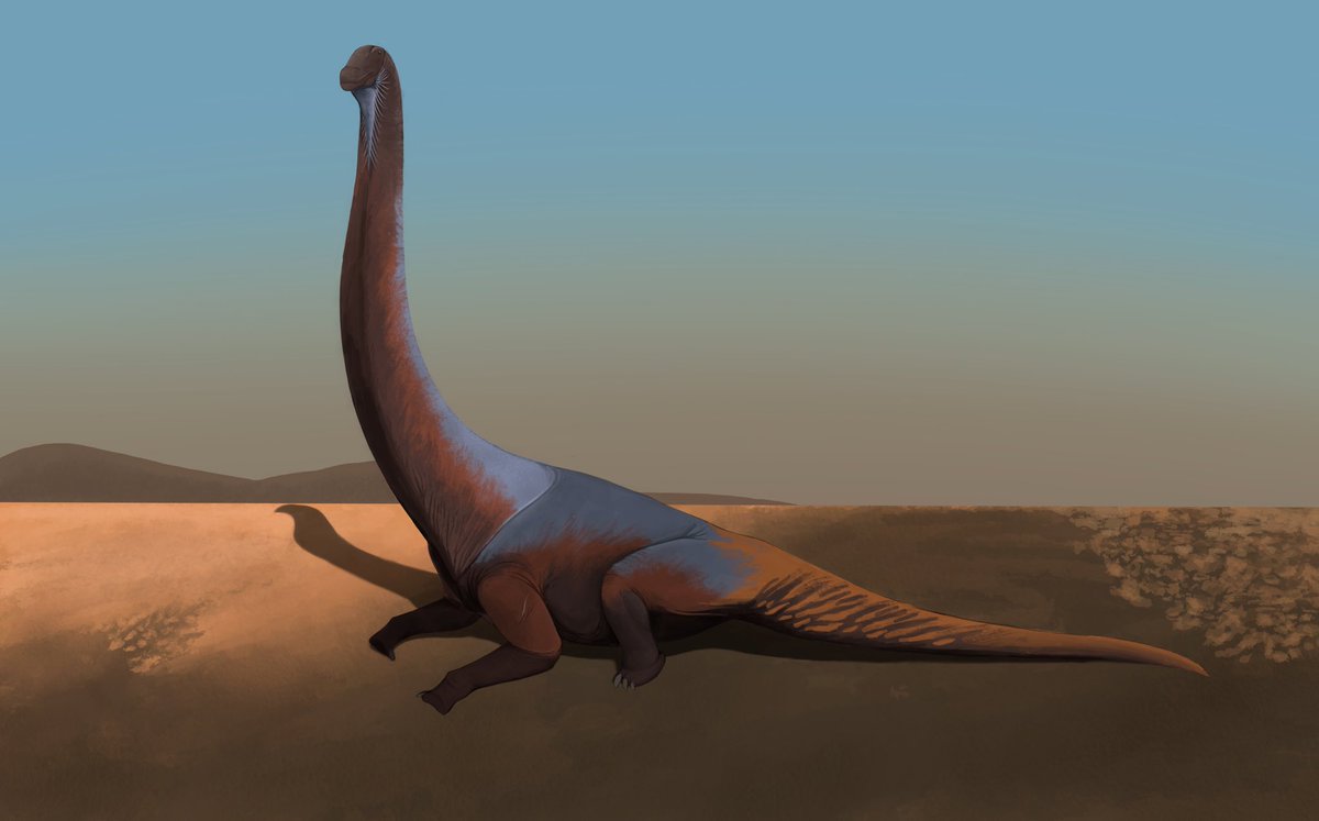 TetZoo's tweet photo. #ArtBoost today is for Paleoman @RukwitYana48136, a palaeoartist based in Thailand who's doing #dinosaurs of all sorts (I've fixated on sauropods here), other prehistoric animals, and also #SpecZoo. Work shows rapid improvement over the past 2 years, is destined for greatness :) https://t.co/rZF4KJ3SCm