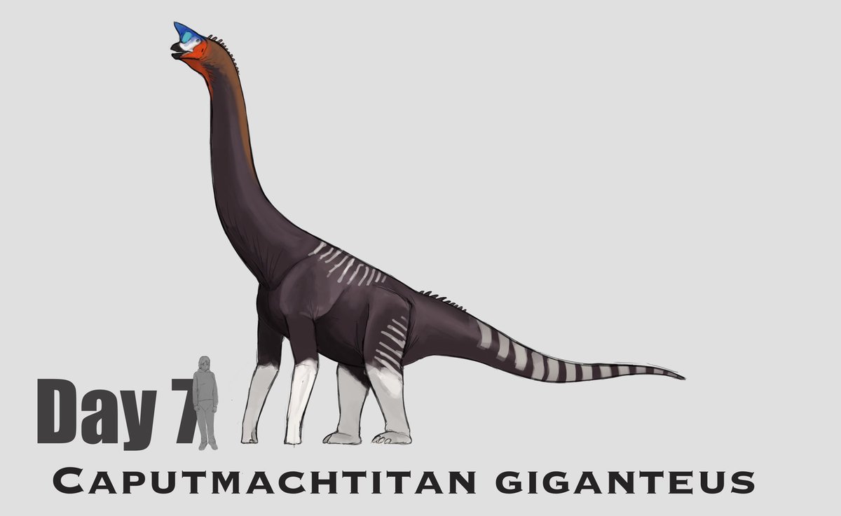 TetZoo's tweet photo. #ArtBoost today is for Paleoman @RukwitYana48136, a palaeoartist based in Thailand who's doing #dinosaurs of all sorts (I've fixated on sauropods here), other prehistoric animals, and also #SpecZoo. Work shows rapid improvement over the past 2 years, is destined for greatness :) https://t.co/rZF4KJ3SCm
