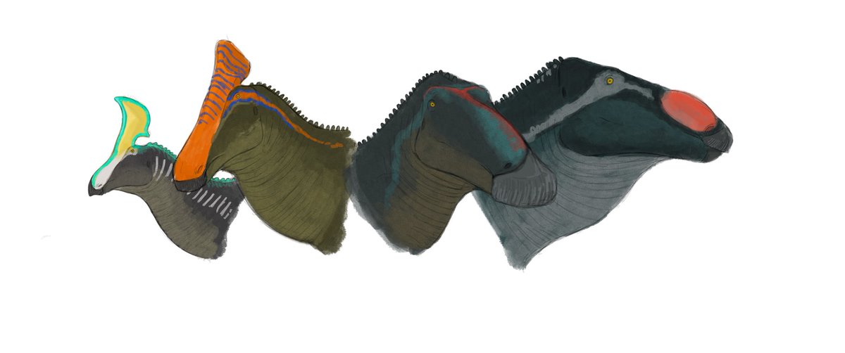 TetZoo's tweet photo. #ArtBoost today is for Paleoman @RukwitYana48136, a palaeoartist based in Thailand who's doing #dinosaurs of all sorts (I've fixated on sauropods here), other prehistoric animals, and also #SpecZoo. Work shows rapid improvement over the past 2 years, is destined for greatness :) https://t.co/rZF4KJ3SCm