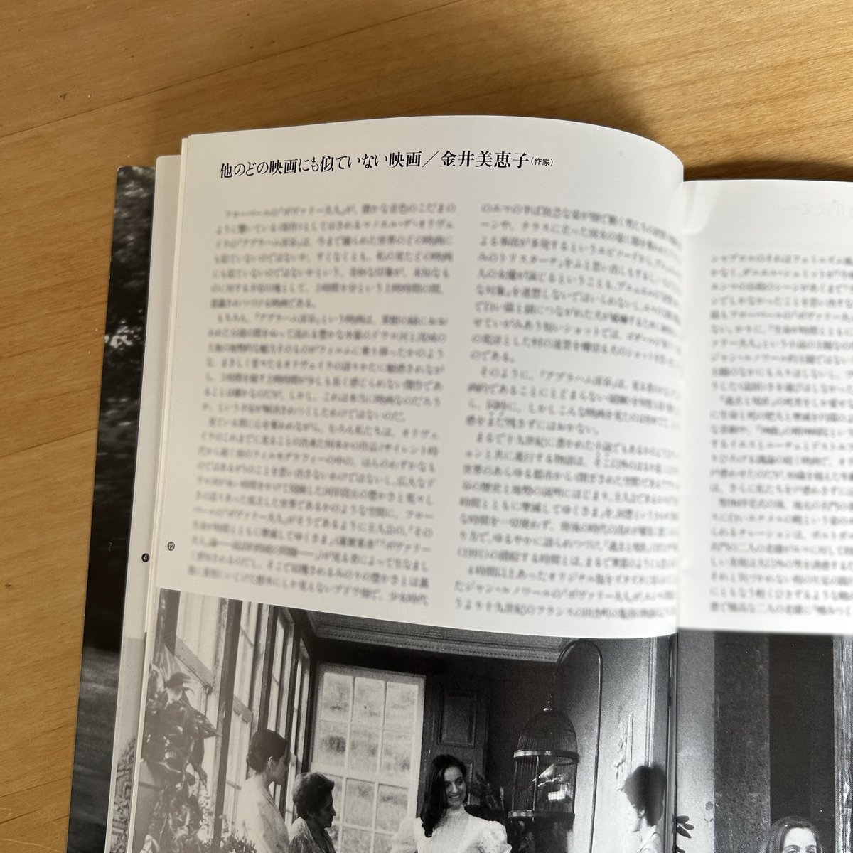 BunkamuraCinema 『アブラハム渓谷』1994年劇場公開版のプログラム掲載