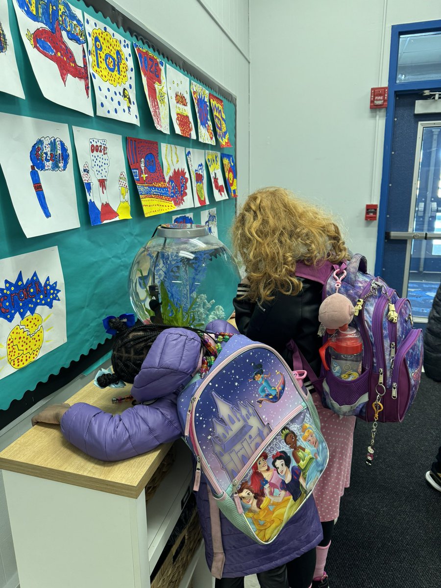 We love starting our morning saying hello to our new fish!