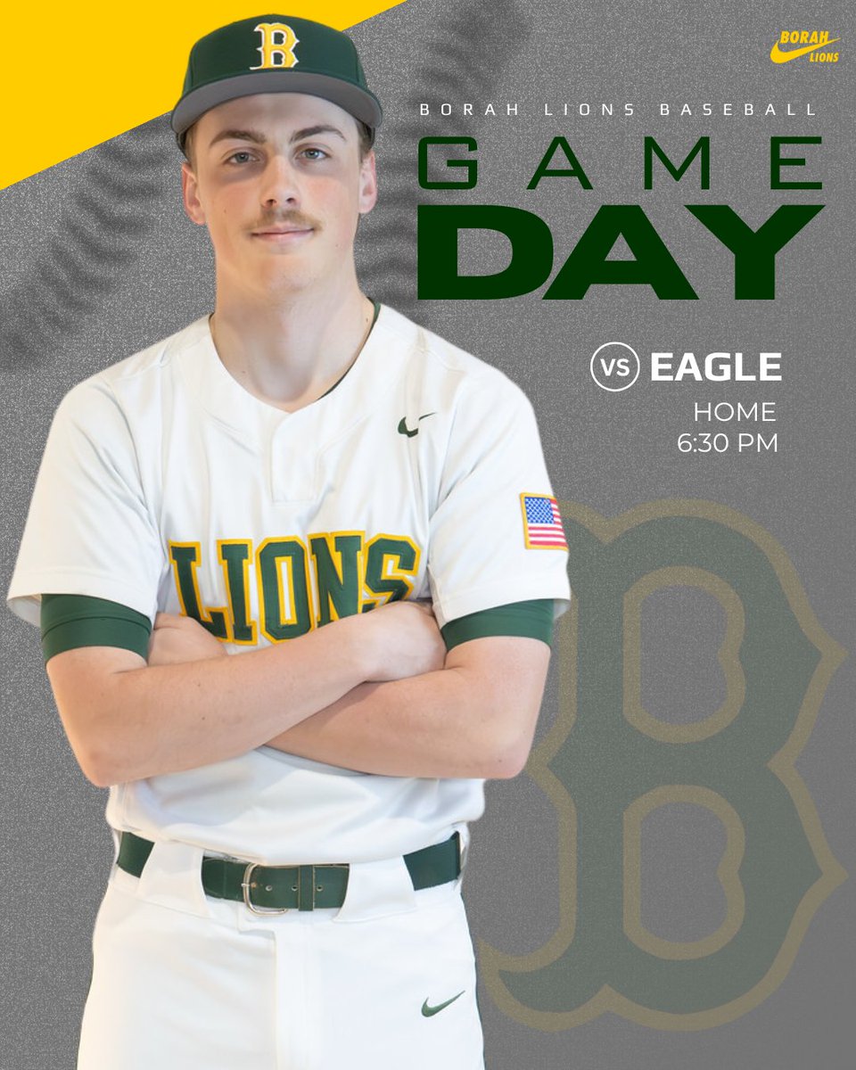 Borah Baseball tweet media