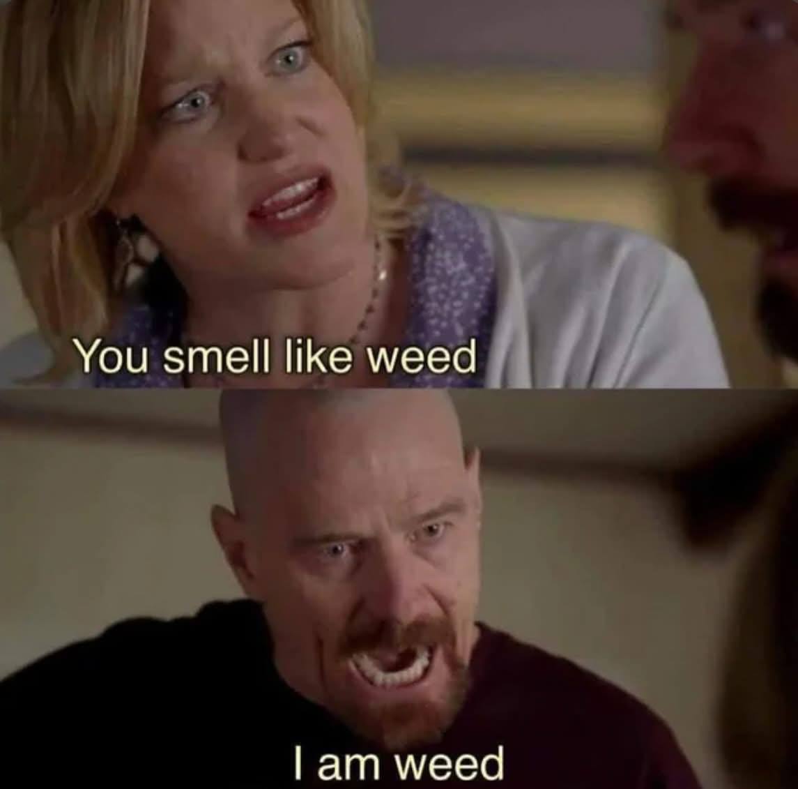 cryptomancc's tweet photo. What I wanna say to the missus.

#weedcoin #weed #420culture https://t.co/SpsuDfLD6s