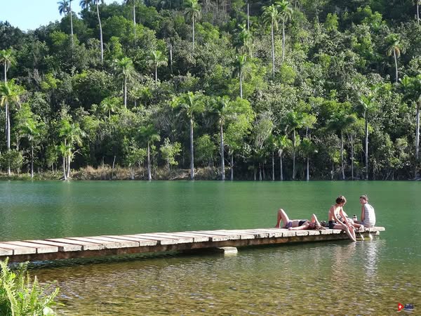 CubaMaps's tweet photo. ☀🌴 Para estar en contacto directo con la naturaleza. #Cuba #CubaTravel #CubaUnica
👉 https://t.co/xt28dgLswQ https://t.co/yvHOXzfEu3 https://t.co/HqyrW4bTud https://t.co/uuoqMJGgzX https://t.co/MXTcdZIEcQ