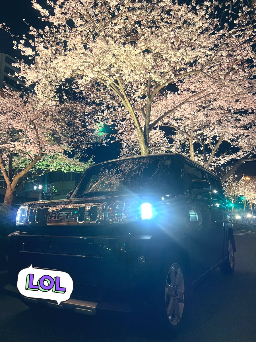 maa0604_TAFT's tweet image. 夜桜と黒タフ🚙
良き👍⭐️

 #タフト #TAFT