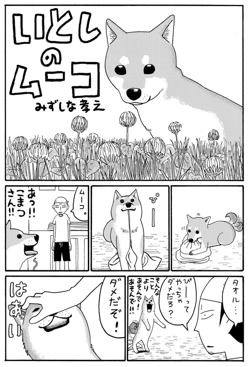 しばいぬの日記念・いとしのムーコ連載前のプロトタイプムーコ 