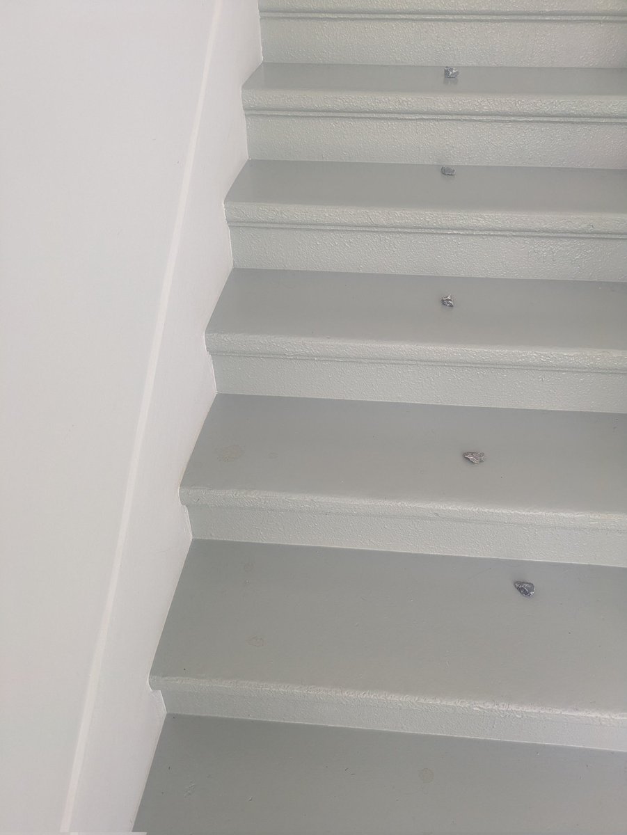 Life in a writer's residency includes mysterious trails of rocks appearing everywhere.