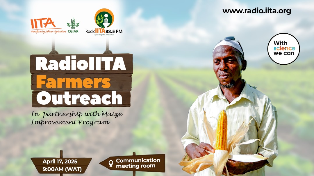 RadioIITA's tweet photo. 👨🏾🌾 Maize farmers, let’s talk better yields!
📻 Radio IITA Outreach is here again!
🗓️ April 17 | 🕘 9AM WAT
🎯 Innovations + Research = More maize
🎥 Stream live on YouTube:
🔗 AM: https://t.co/3twls64ZSg
🔗 PM: https://t.co/T4AzYJ8KLe
#ScienceForFarmers #CGIAR #Maize https://t.co/KBf8tfNmWb