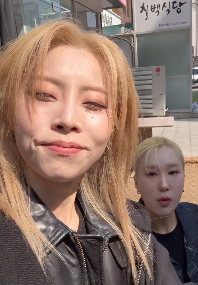 자연광아래치즈냥