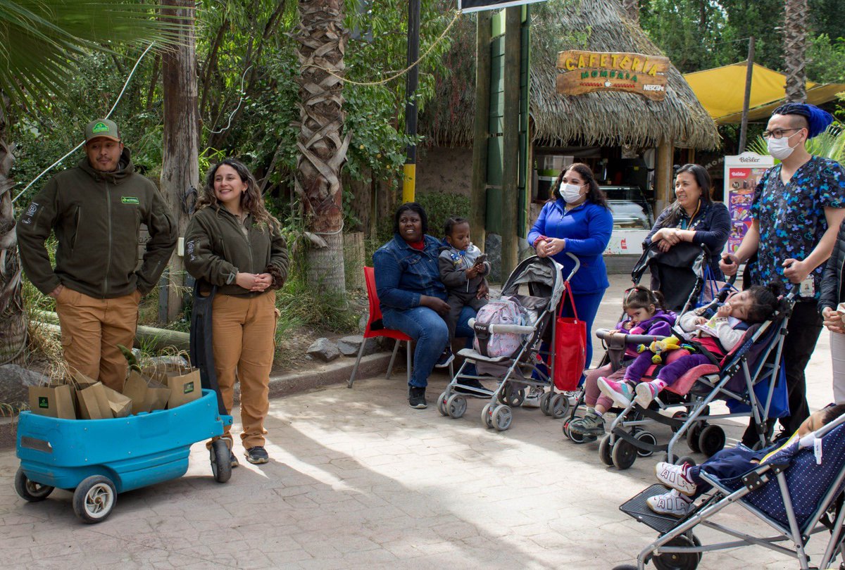HJM_Oficial's tweet photo. Niños del #HospitalJosefinaMartínez participaron en una visita al @Buin_Zoo para fomentar la diversidad e integración. Esta actividad contribuye a su rehabilitación y les brinda una valiosa experiencia fuera del hospital. 🐯🌱
Más detalles 👉https://t.co/6fmkGLwj2L https://t.co/k5j3Mu60au
