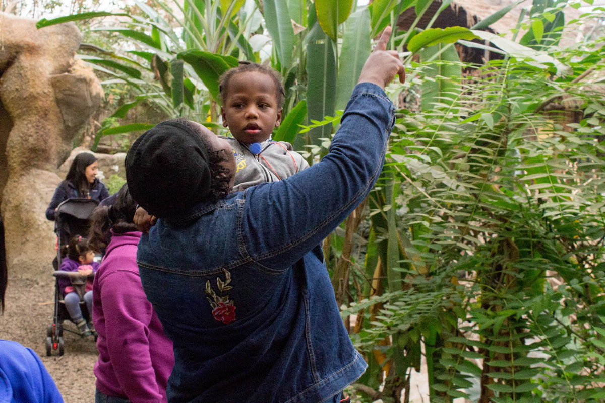 HJM_Oficial's tweet photo. Niños del #HospitalJosefinaMartínez participaron en una visita al @Buin_Zoo para fomentar la diversidad e integración. Esta actividad contribuye a su rehabilitación y les brinda una valiosa experiencia fuera del hospital. 🐯🌱
Más detalles 👉https://t.co/6fmkGLwj2L https://t.co/k5j3Mu60au