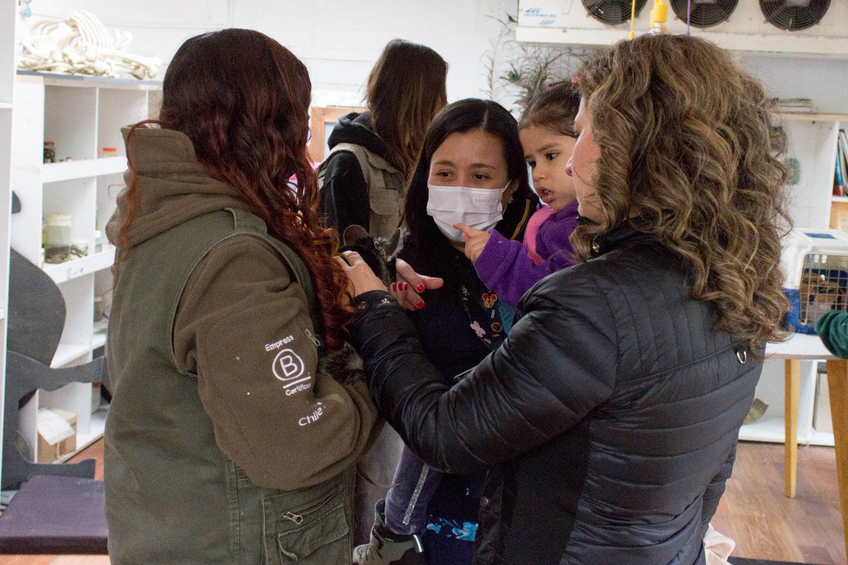 HJM_Oficial's tweet photo. Niños del #HospitalJosefinaMartínez participaron en una visita al @Buin_Zoo para fomentar la diversidad e integración. Esta actividad contribuye a su rehabilitación y les brinda una valiosa experiencia fuera del hospital. 🐯🌱
Más detalles 👉https://t.co/6fmkGLwj2L https://t.co/k5j3Mu60au