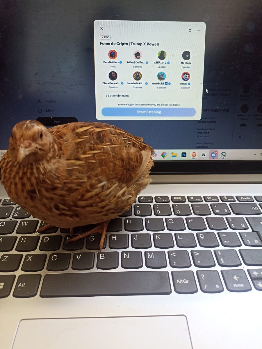 Galinheta tweet media