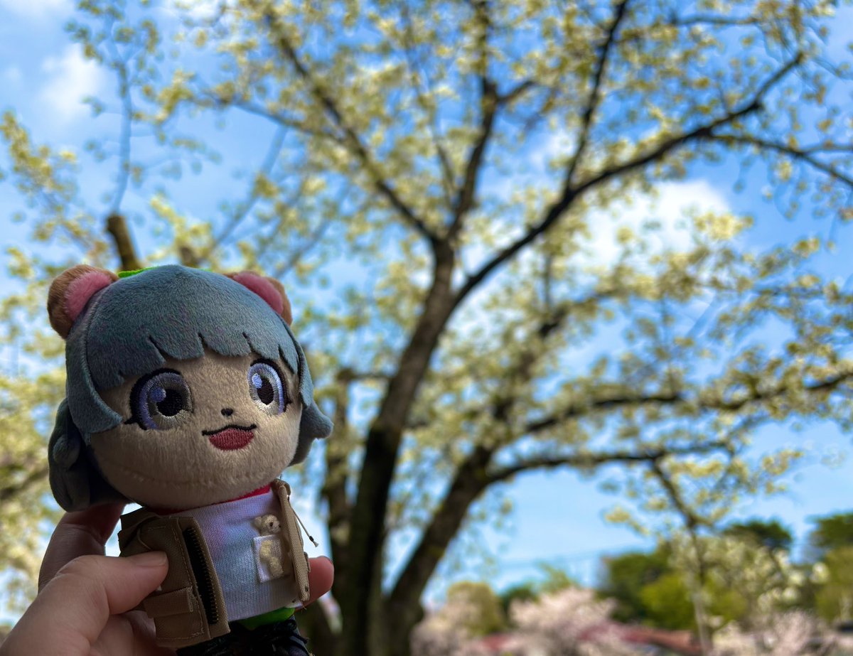 お花見🌸