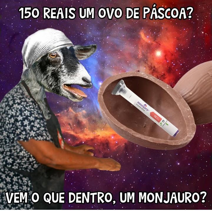 Selma Santos tweet media