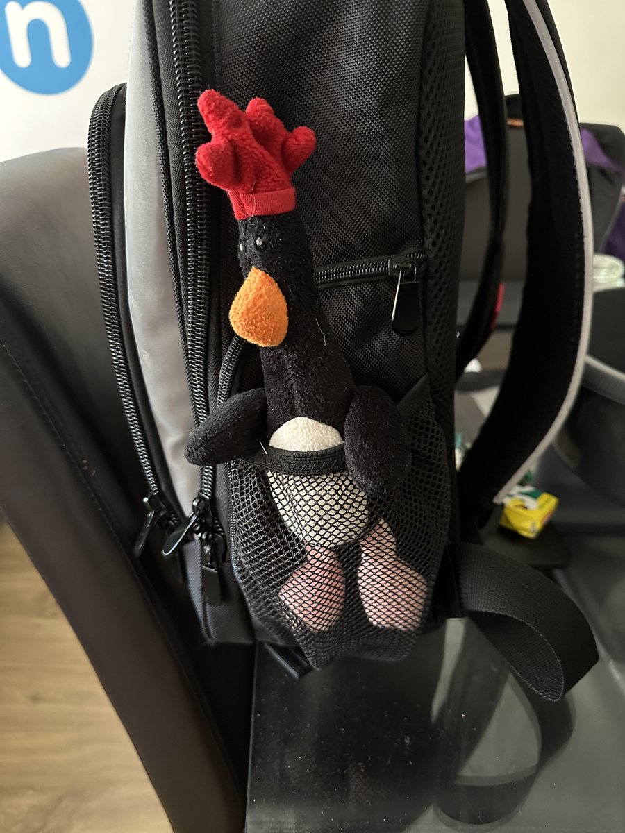 SnrConductorJim's tweet photo. There’s something quite fowl about my bag mascot… https://t.co/5Mz5ivJriZ