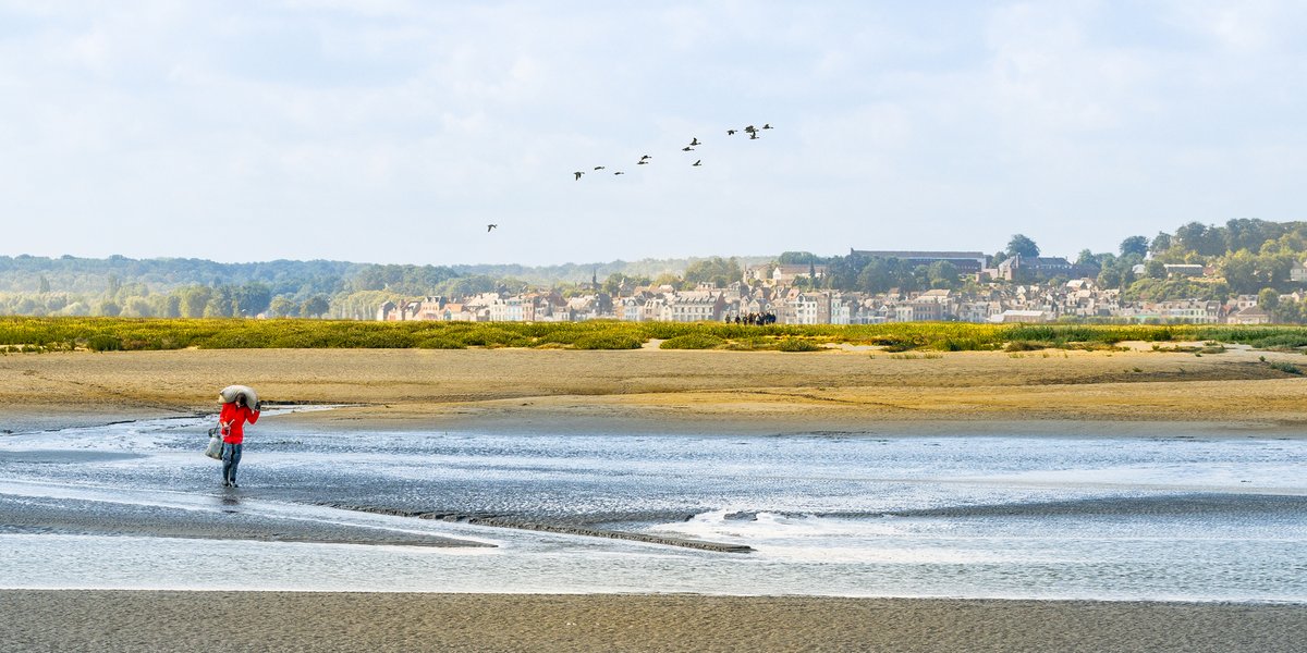 Le label Grand Site de France Baie de Somme renouvelé pour 8 ans ! 

bit.ly/3R4wNUG

#hautsdefrance #GrandSitedeFrance #Tourisme