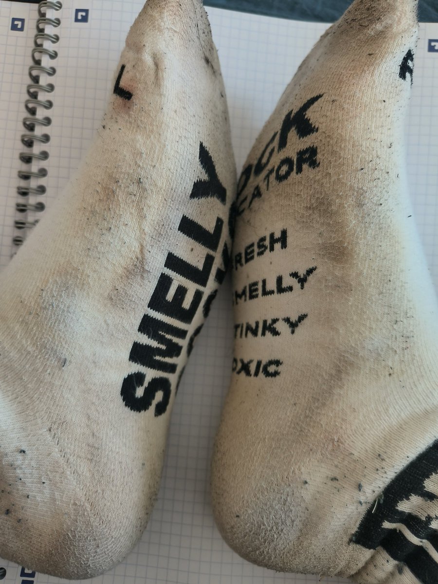 sock addict tweet media