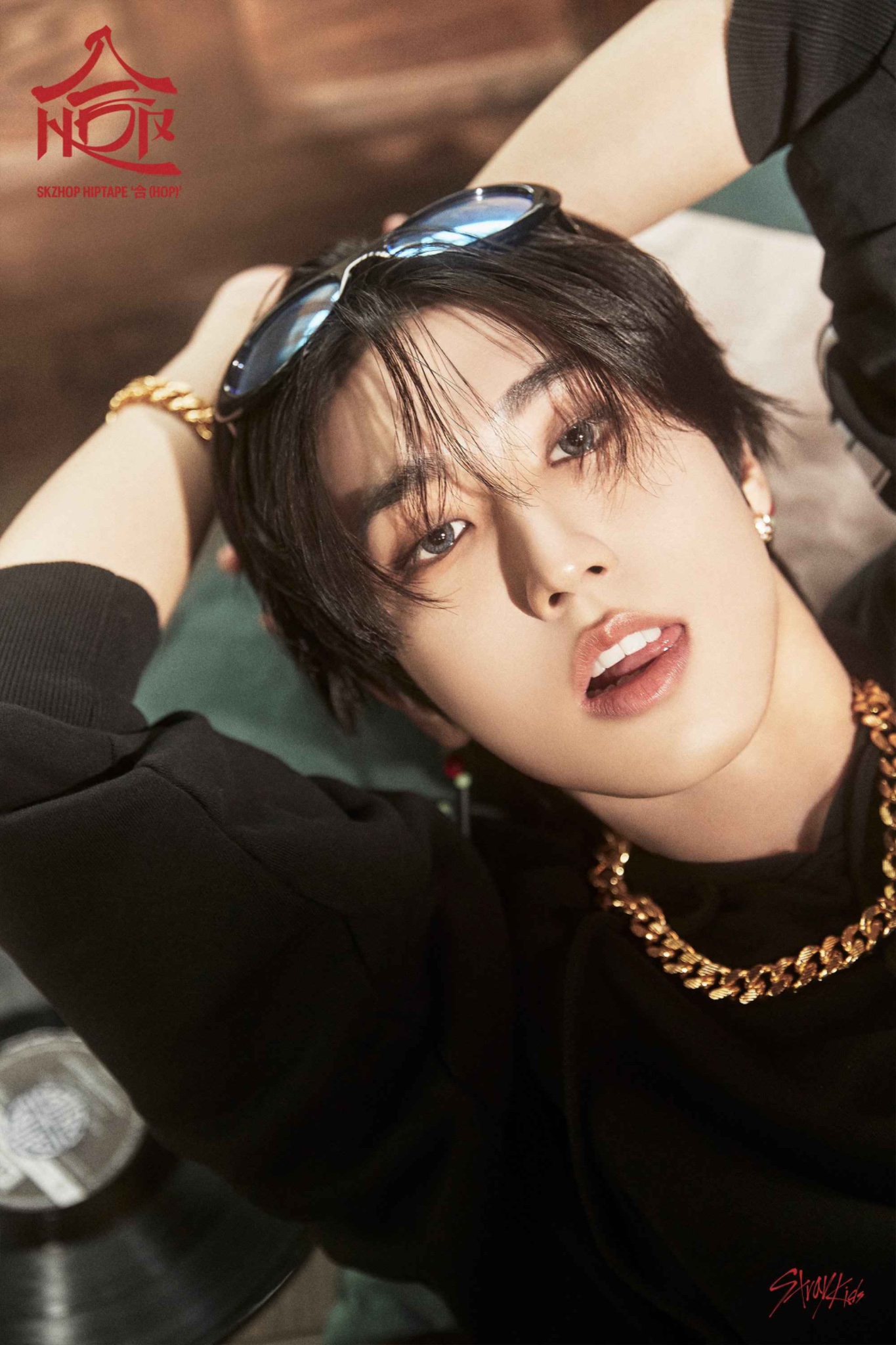アイドル Stray Kids han Happy Birthday HAN🐿️ #StrayKids #스트레이키즈 #한 #HAN
