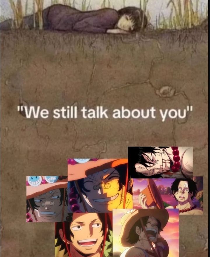 One Piece Daily (@opdaiiy) on Twitter photo 