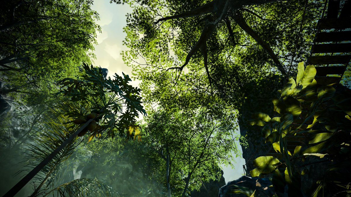 ZirEliSon's tweet photo. .
.
World: Forgotten Valley reworked
by Display
Download: 187.93 MB | Platform:🔵PC Only
#VRChatPhotography #vrchatworld #VRChat_world https://t.co/bsKUv1evOl