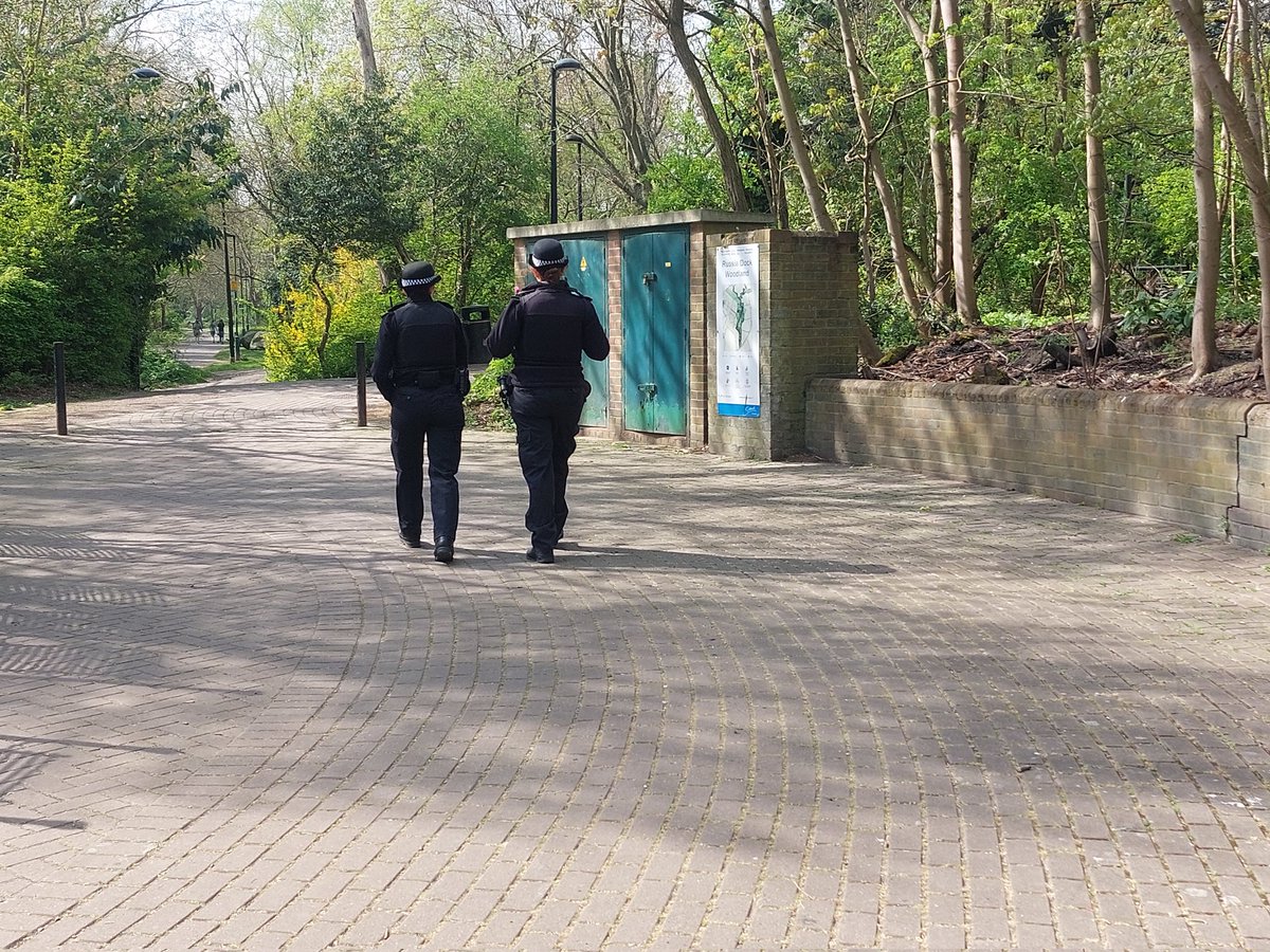Rotherhithe SNT tweet media