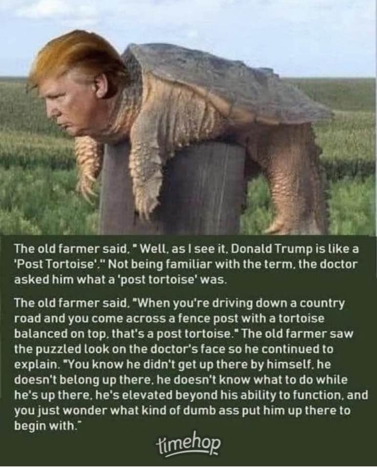 The HoBo 💙 🇺🇸 🌊 #ElonSucks #TrumpSucks (@thehobo19) on Twitter photo 