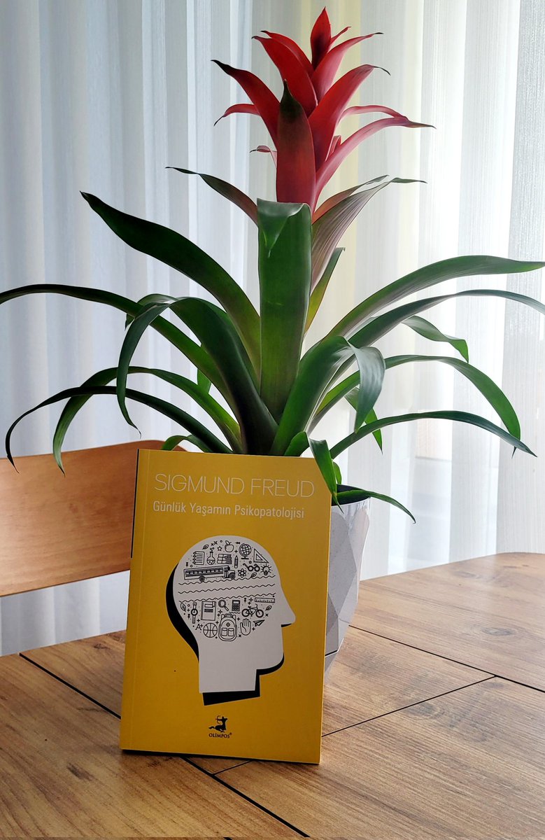 Okuma ile geçen güzel bir akşamınız olsun.
#iyiakşamlar #benimokumam #psikoloji #kitapseverlertakilleşiyor #maviayraç #kitaptavsiyesi #kitapalıntıları #salı