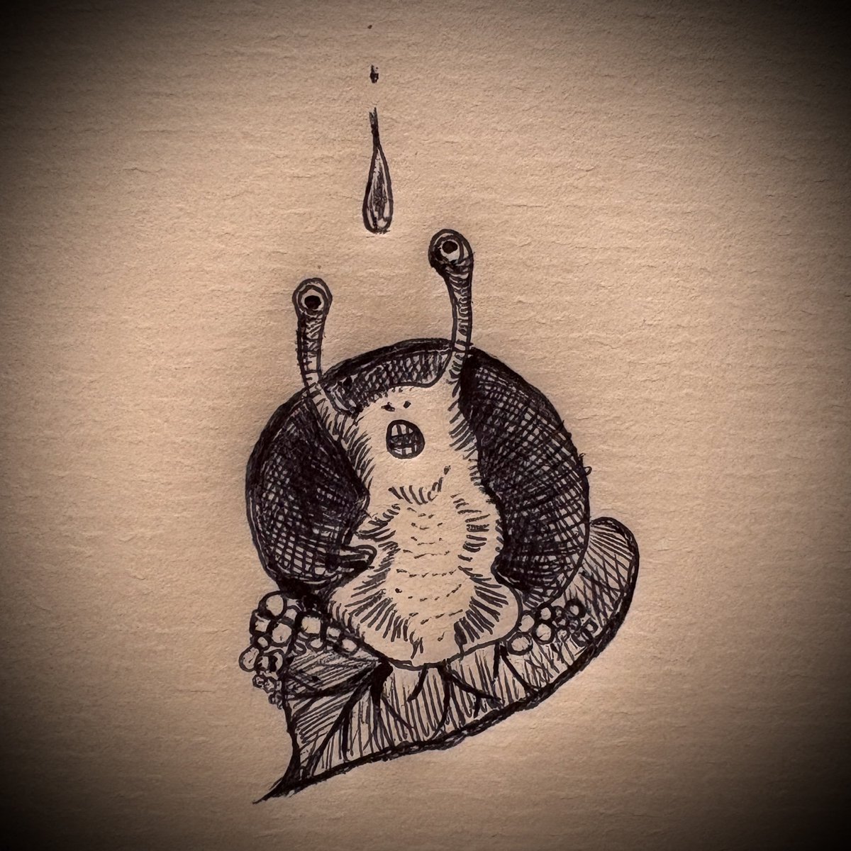 石巻貝は何かに気付いた。