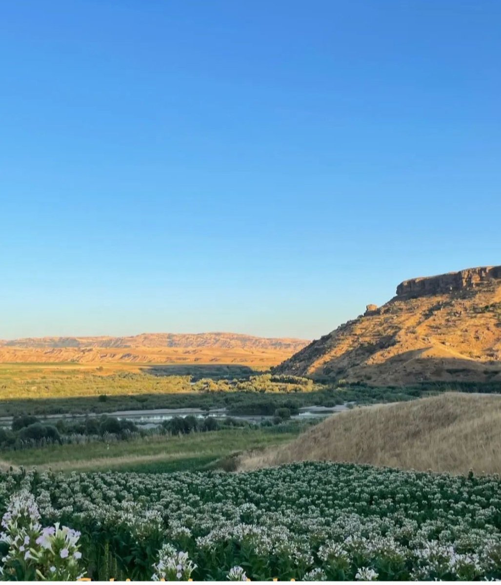 Mlfer3's tweet image. Çocukken, küçük, gördüğümüz köy 
 Büyüyüp te dünyayı, tanıdığımız'da  o,küçümsediğimiz.. 
Doğduğumuz ve büyüdügümüz, yer ve topraklar, oysa  nasıl bir ders ile hayat üniversitesimiş.##Kumlupinar##Gomike