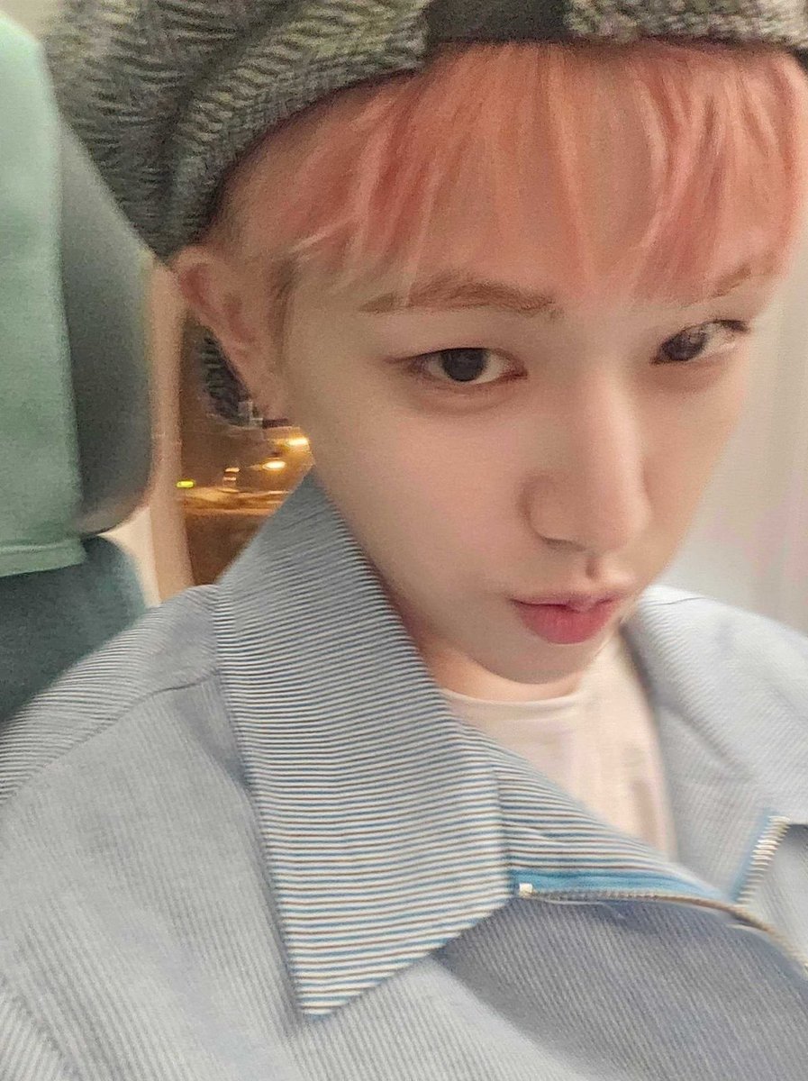 riwoobabo's tweet photo. 요즘은 랜선으로도 벚꽃을 볼 수 있다더라 https://t.co/lCzVC8GuST