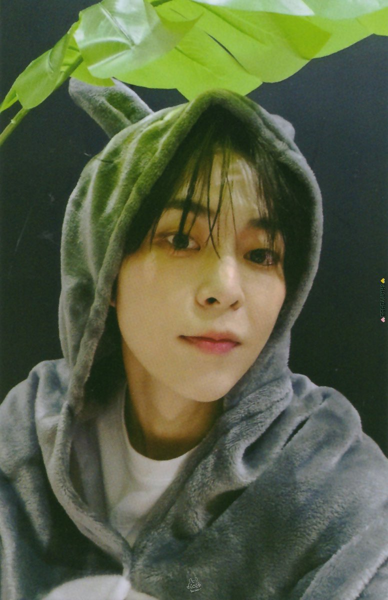 chany499's tweet photo. 인터뷰X #InterviewX 앨범
비트로드  BEATROAD
대면 팬사인회 특전 미공포 스캔

#SCAN #시우민 #XIUMIN https://t.co/ty3z4rfWRT