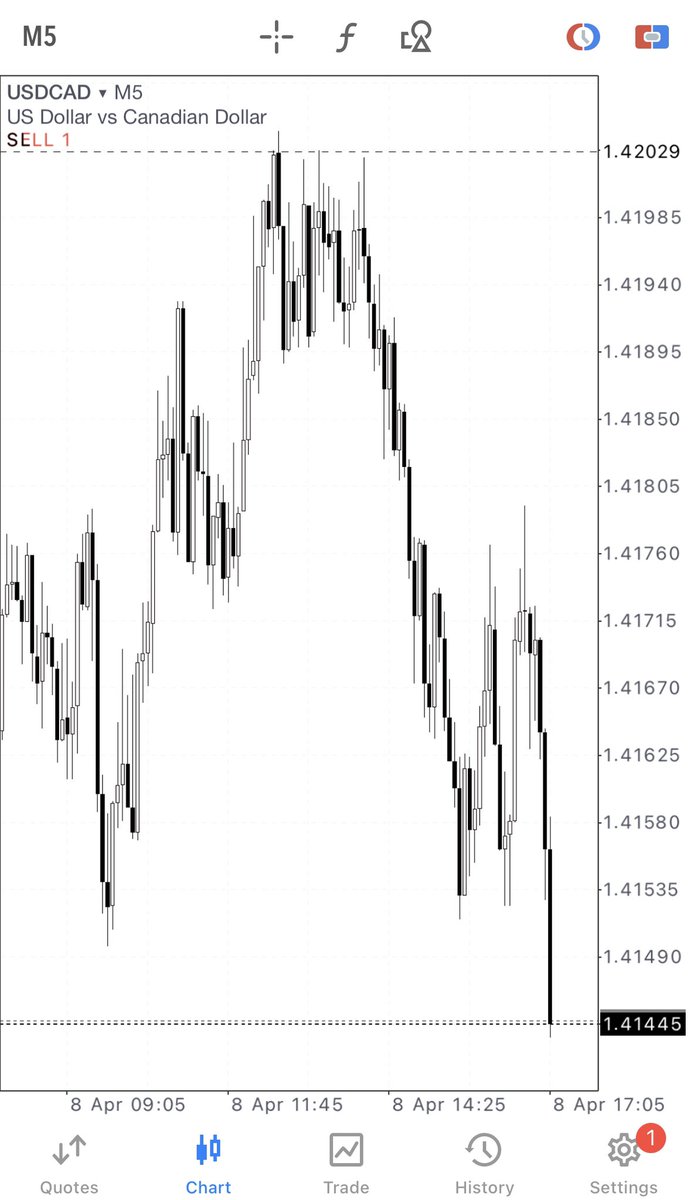 Ayden Damons tweet media