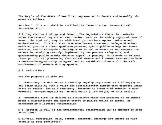 PeanutsLaw tweet media