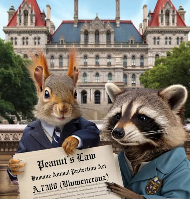 PeanutsLaw tweet media