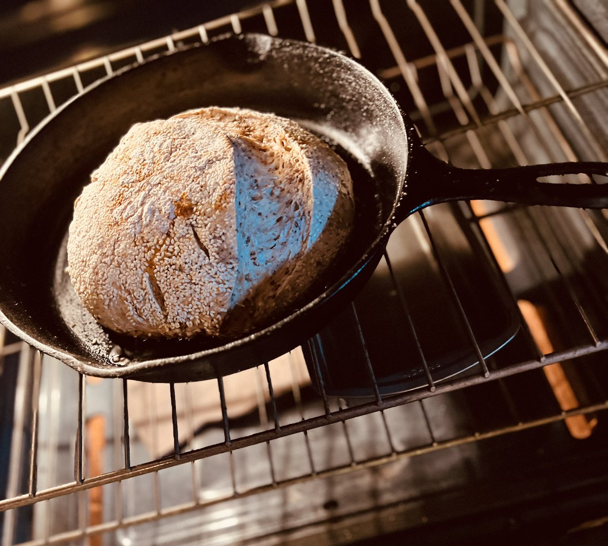 NikolHasler's tweet image. Not feeling hopeful about this experiment. #sourdough #breadmaking