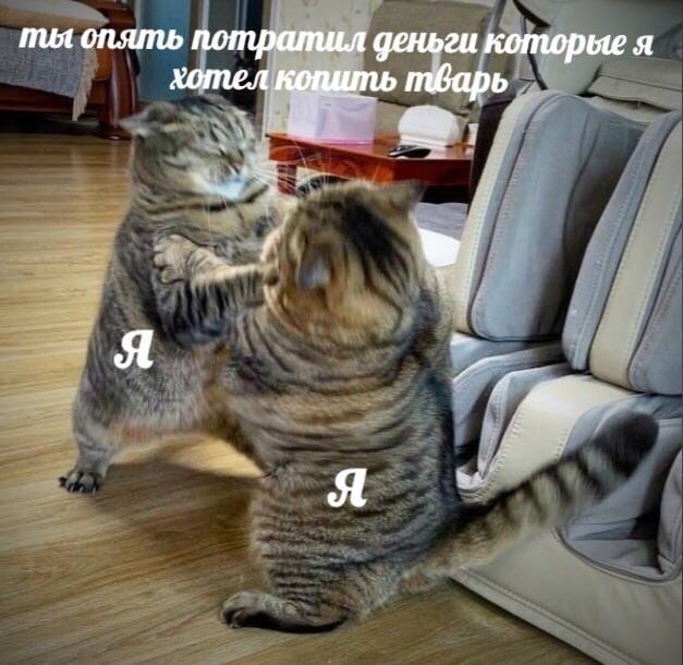 🐸жабья принцесса👑 (@kxiq7u7oc8nsgnc) on Twitter photo 