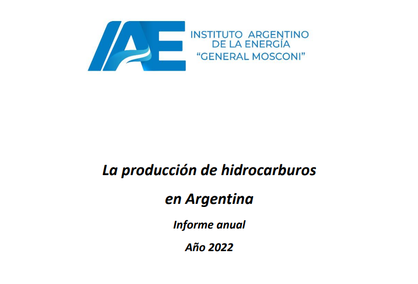 Informe anual de hidrocarburos en Argentina | Año 2024 ⛽ - mailchi.mp/185c0ae2ee7f/i…