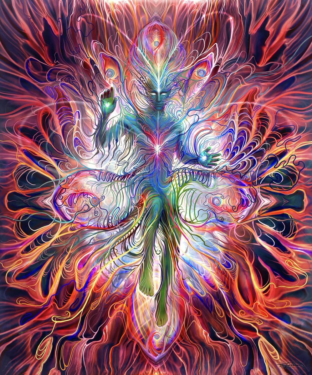 silviovieiraart's tweet image. - Biocompass -