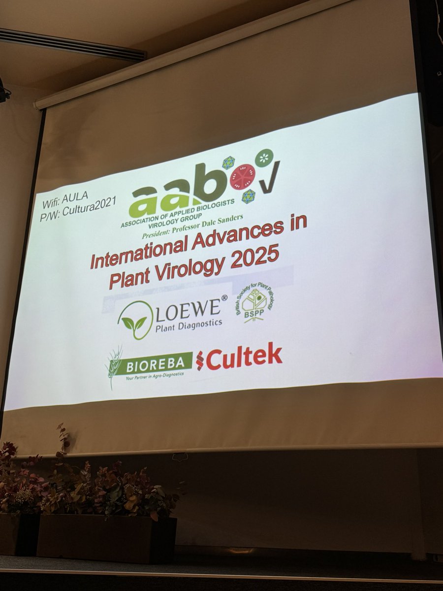 Trisna Tungadi (@trisna_tungadi) on Twitter photo Day 1 <a href="/AABiologists/">AAB @aabiologists.bsky.social</a> International Advanced in Plant Virology meeting, Murcia, Spain🙂. Day 1 <a href="/AABiologists/">AAB @aabiologists.bsky.social</a> International Advanced in Plant Virology meeting, Murcia, Spain🙂.
