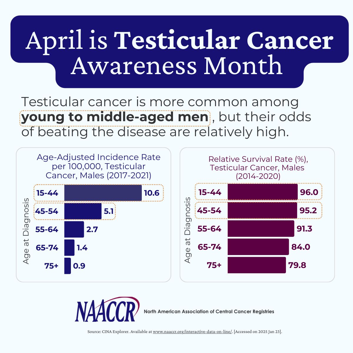 April is testicular cancer awareness month. Testicular cancer incidence is highest in men during young adulthood. Learn more at buff.ly/4bT7GMq. #NAACCR #CiNAdata #cancerresearch #testicularcancer