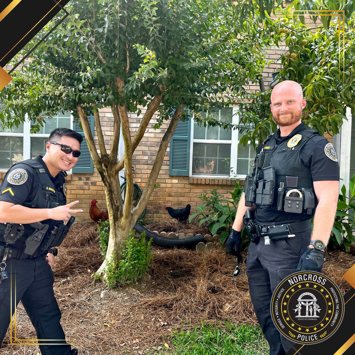 NorcrossPD's tweet photo. ๐Friendly Reminder from the Norcross Police Department: No Roosters Allowed ๐
While we can appreciate theirโฆ bold personalities, roosters are not permitted in the city.
#Rooster #chicken #Norcrosspd #publicsafety #viral #funnymemes #codeenforcement #lawenforcement #police https://t.co/NGmCzAwVmk