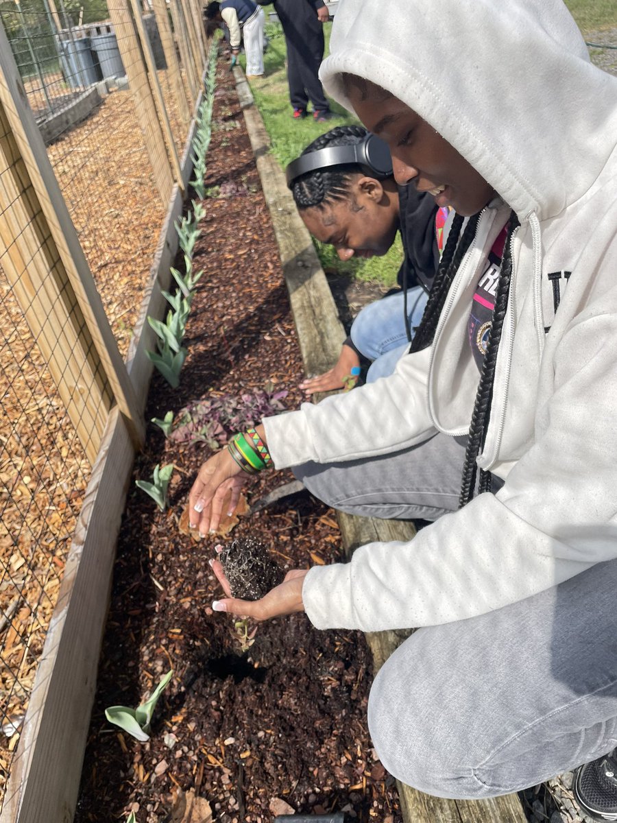 Center for Environmental Studies & Sustainability tweet media