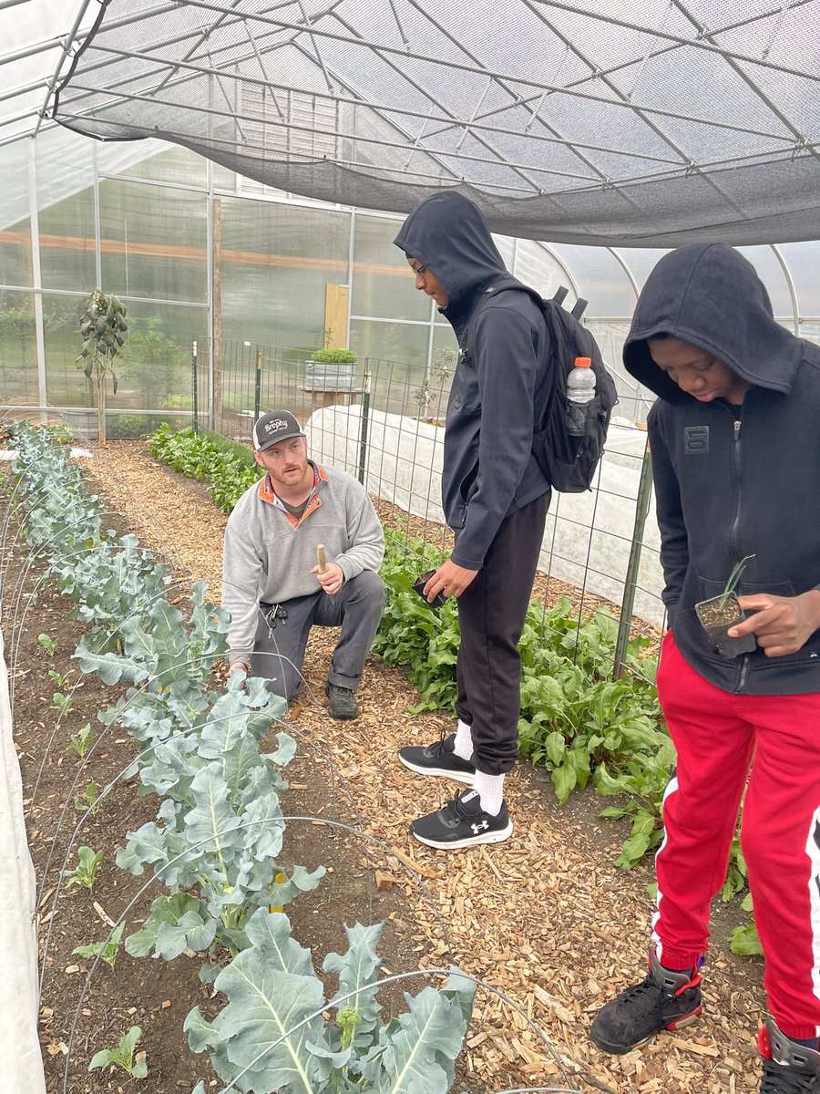 Center for Environmental Studies & Sustainability tweet media