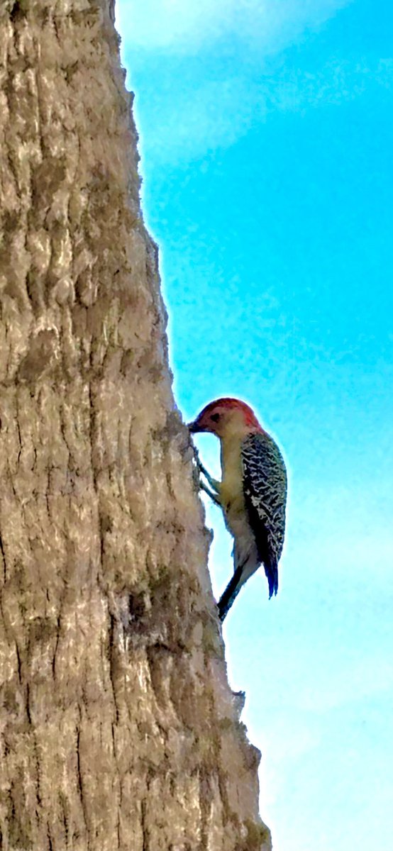 SuniH (@lynn2475) on Twitter photo 