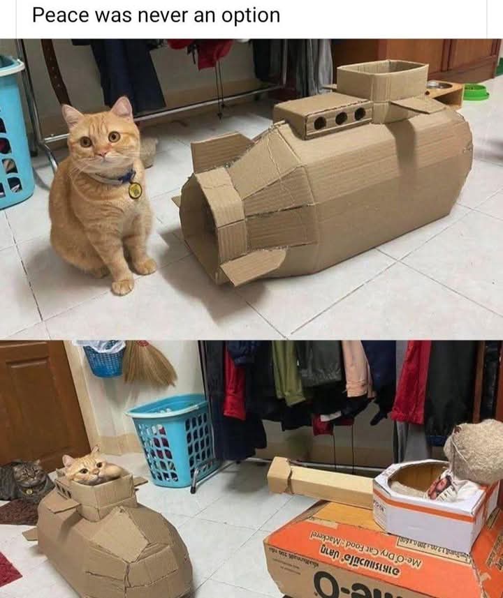 EXPLORECATS's tweet image. WARRR!