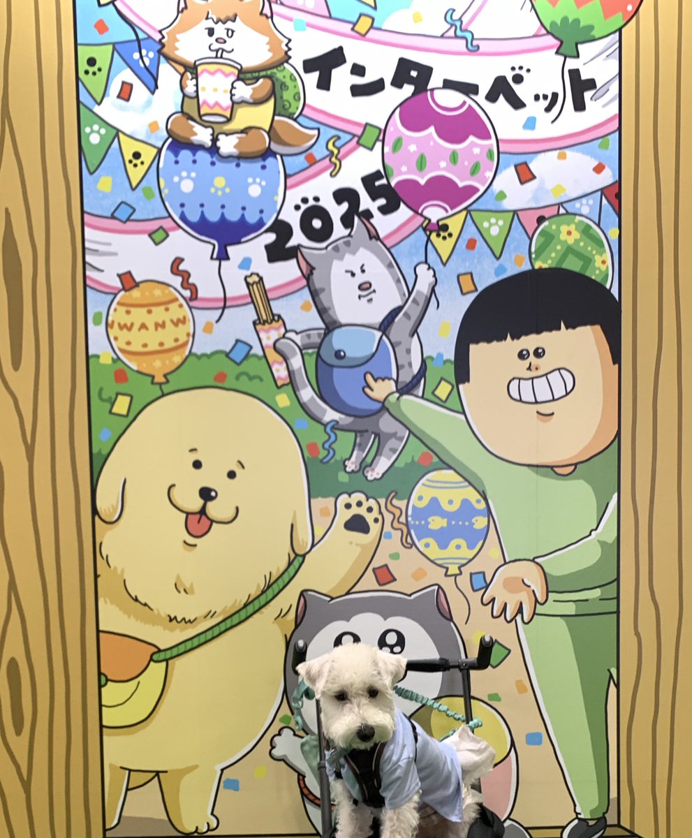 51denK's tweet photo. #朝みみ
インターペット行ってきました✨✨
普段のお散歩では出会えない大きいワンちゃんがいたり、貴賓あふれるにゃんさんがいたり沢山癒されました〜〜🫠💓
沢山ブースありすぎて寄り道ばかりで回りきれなかった🫣
でものんびり楽しい日を過ごせました！
チケット当選ありがとうございました♪ https://t.co/oKE1JSc5Vr