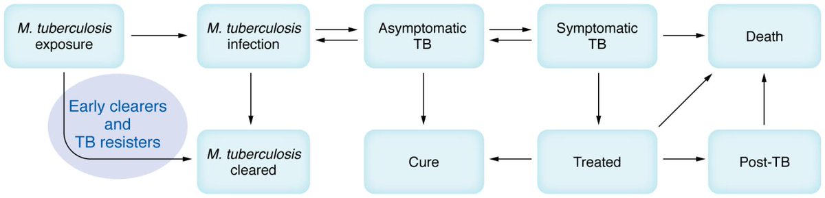 Journal of Clinical Investigation (@jclinicalinvest) on Twitter photo Insights into protection against Mycobacterium tuberculosis infection: time to officially confirm another phenotype? jci.org/articles/view/…
Todia P. Setiabudiawan et al. provide a Commentary on <a href="/monica_sauer/">Monica Dallmann-Sauer</a> et al. (jci.org/articles/view/…) Insights into protection against Mycobacterium tuberculosis infection: time to officially confirm another phenotype? jci.org/articles/view/…
Todia P. Setiabudiawan et al. provide a Commentary on <a href="/monica_sauer/">Monica Dallmann-Sauer</a> et al. (jci.org/articles/view/…)