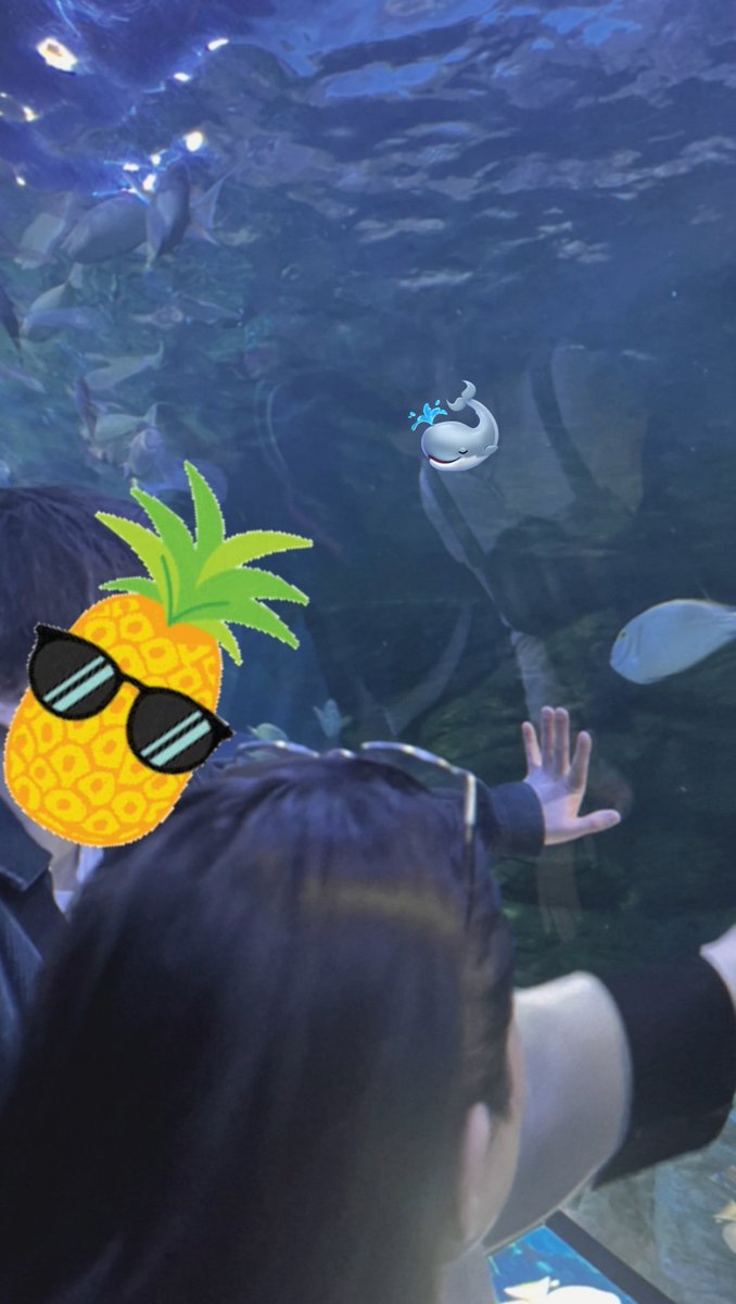 Dream86_'s tweet photo. 4/5 えなもへよい東京🍍🍑🥑

水族館と可愛いお店、主に私が行きたかったところ付き合ってもらった🥹🙏✨

えなりぃさん、毎回電車調べてくれてありがとう！
よいよい、誘ってくれて本当にありがとう🥰
もへさん、遅刻30分以内に収めてくれてありがとう☺️笑 https://t.co/EdxtJdcBC1