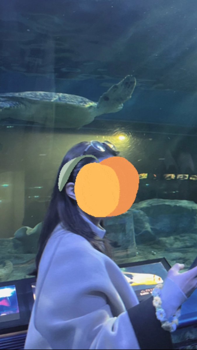 Dream86_'s tweet photo. 4/5 えなもへよい東京🍍🍑🥑

水族館と可愛いお店、主に私が行きたかったところ付き合ってもらった🥹🙏✨

えなりぃさん、毎回電車調べてくれてありがとう！
よいよい、誘ってくれて本当にありがとう🥰
もへさん、遅刻30分以内に収めてくれてありがとう☺️笑 https://t.co/EdxtJdcBC1